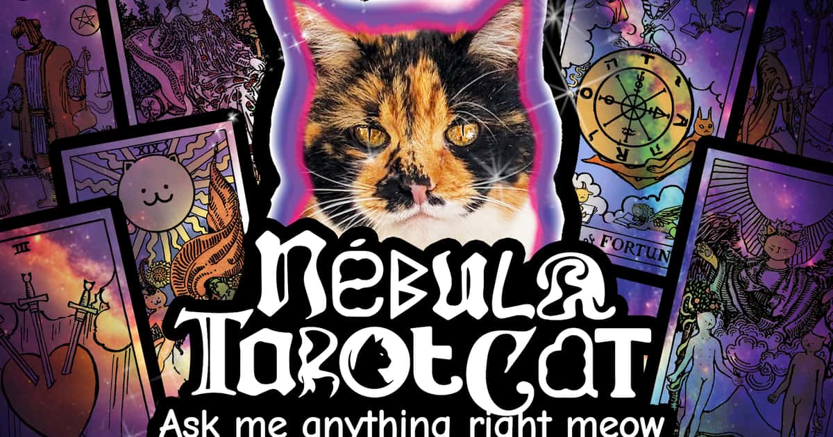 Simulation-Nebula Tarot Cat Game Cover
